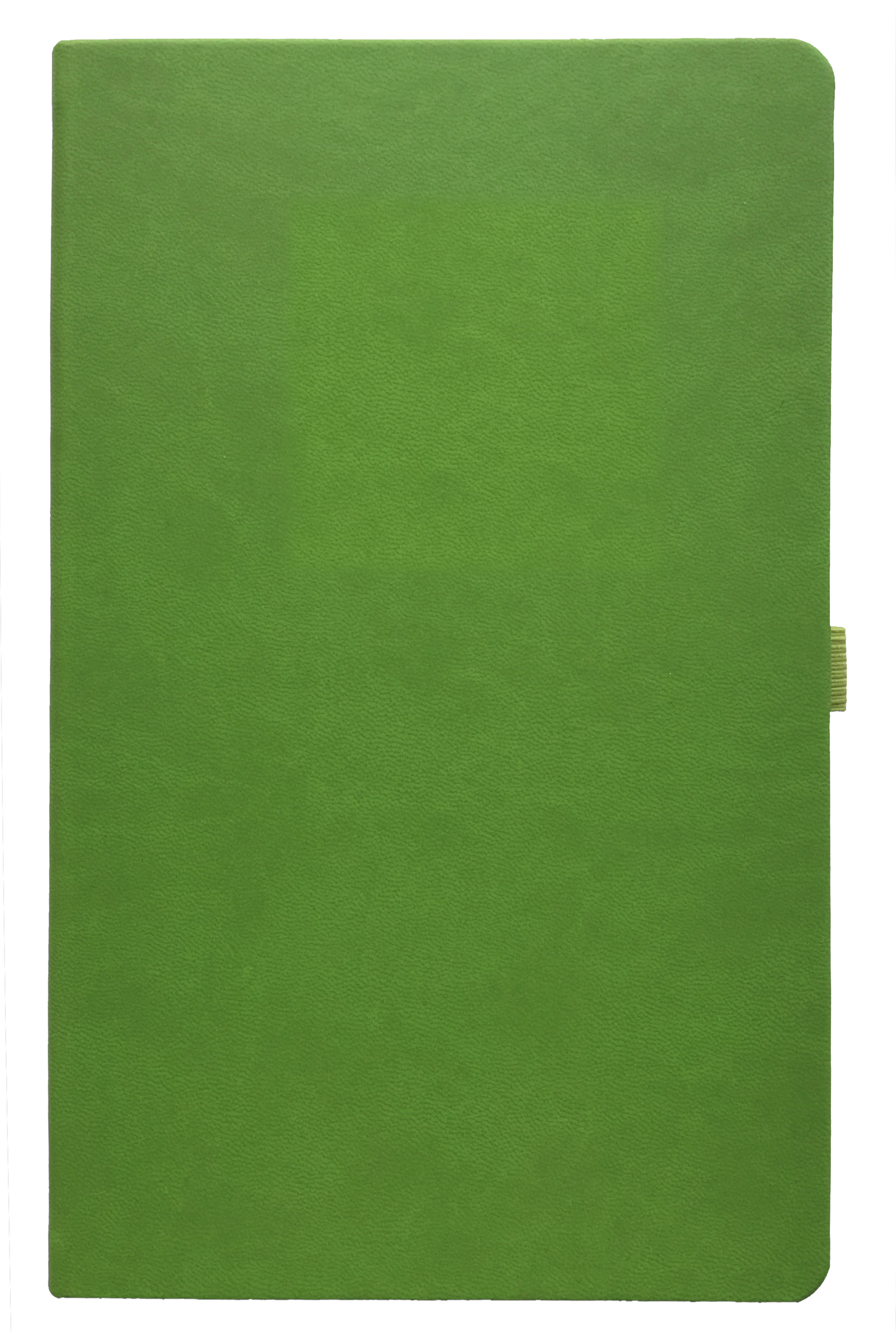 Notizbuch 9 x 14 cm , kariert, 192 S., grün